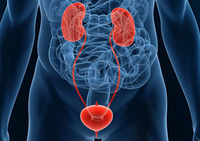 Montebello Urology Associates