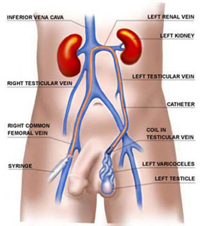 Montebello Urological Associates